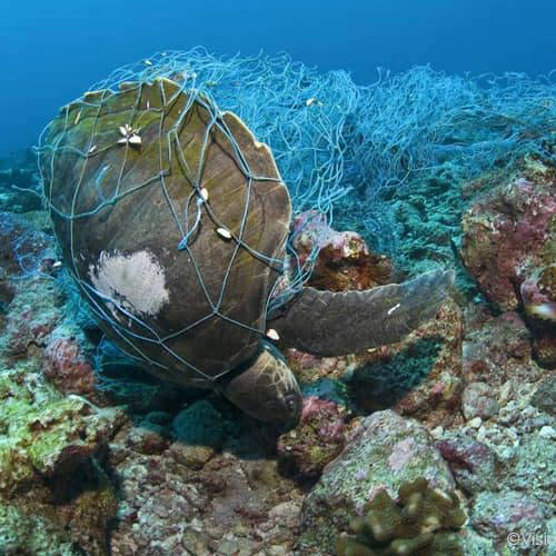 これが貴方なら