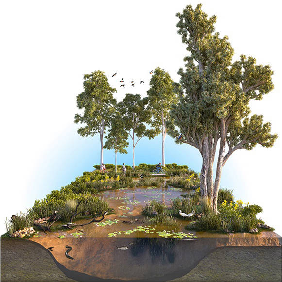 良い自然環境を考える