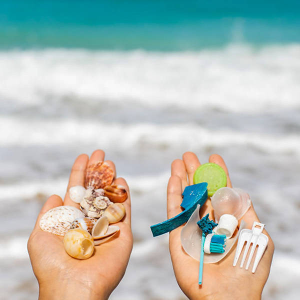 どちらを大事にしますか