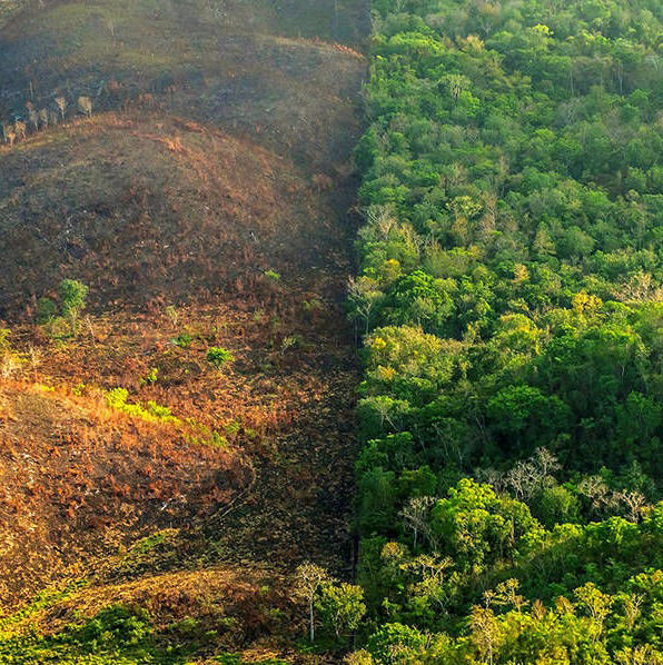 資本主義もルールを！