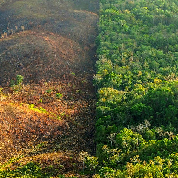 資本主義もルールを！