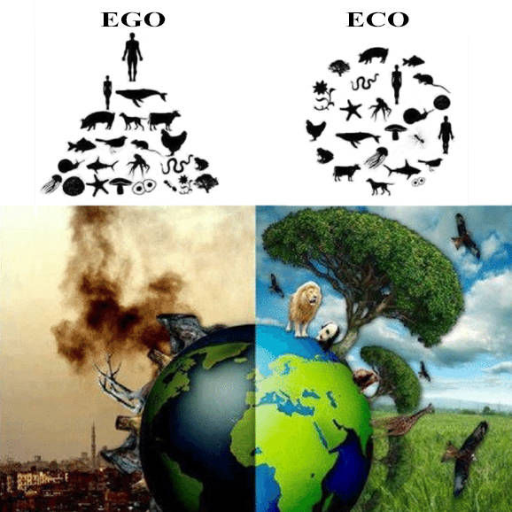 エゴとECO