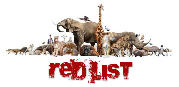 Red List